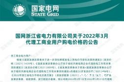 国网浙江省电力有限公司代理购电工商业用户分时电价表-2023年3月